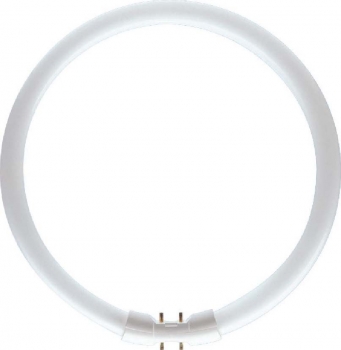 Купить Люминесцентная лампочка Philips PH  MASTER TL5 Circular 22W/830 1CT/10