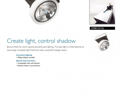 Купить Светильник потолочный Philips 57981/31/16