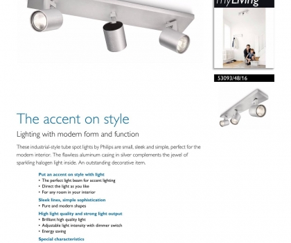 Купить Спот Philips 53093/48/16