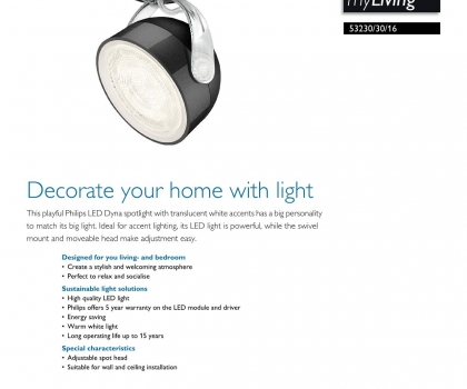 Купить Спот Philips 53230/30/16