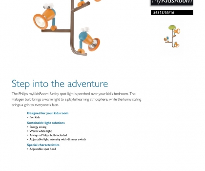 Купить Детская люстра Philips 56313/55/16