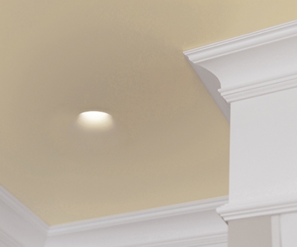 Купити Точковий світильник Indeluz 798B-G21X1B-01