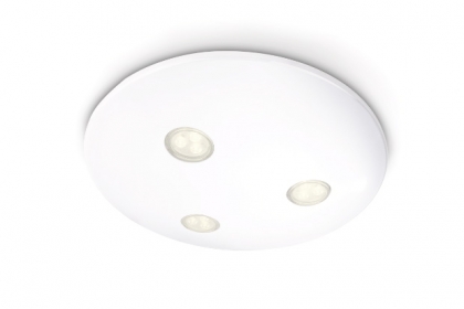 Купить Светильник потолочный Philips 32084/31/16