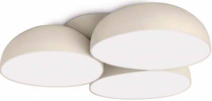 Купить Светильник потолочный Philips 40829/38/16