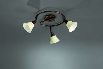 Купить Светильник потолочный Massive 51169/43/10