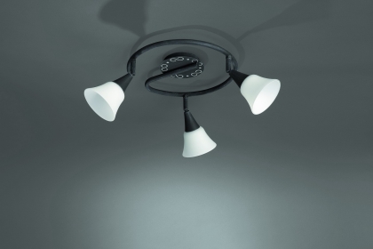 Купить Светильник потолочный Massive 51169/93/10_dis