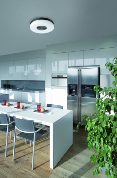 Купить Светильник потолочный Massive 33481/17/10