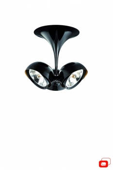 Купить Светильник потолочный Lirio 57073/30/LI_dis