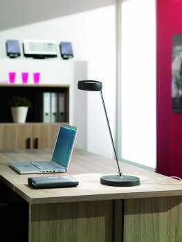 Купить Офисная настольная лампа Eseo 66011/93/13