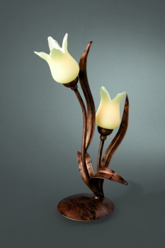 Купить Настольная лампа Massive 38519/43/10_dis