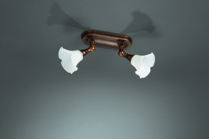 Купить Спот Eseo 56352/43/13