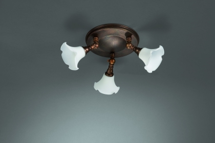 Купить Спот Eseo 56353/43/13_dis