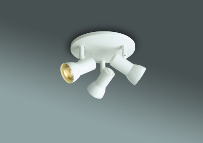 Купить Спот Massive 02793/63/31