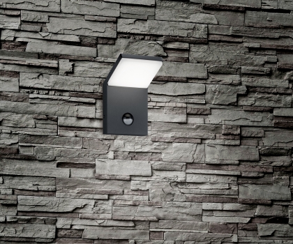 Купить Уличный светильник Trio 221169142