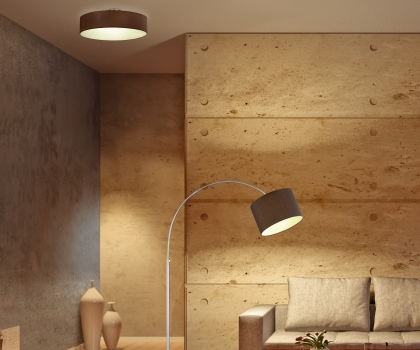 Купить Светильник потолочный Trio 603900314