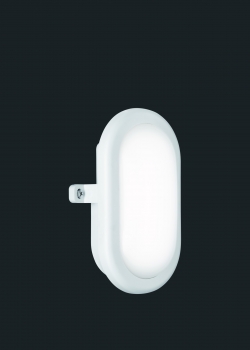 Купить Уличный светильник Trio R62281101