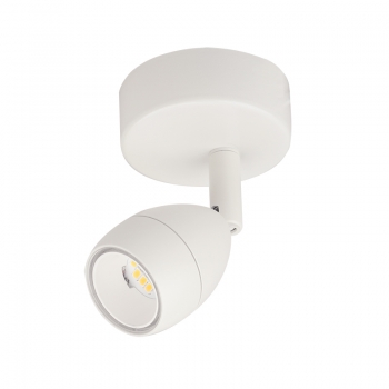 Купить Спот Light Topps LT21110