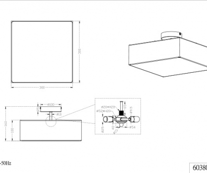 Купить Светильник потолочный Trio 603800287