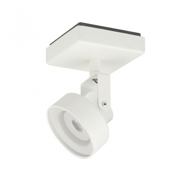 Купить Спот Light Topps LT22510