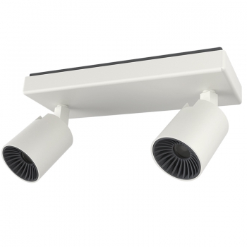 Купить Спот Light Topps LT22720