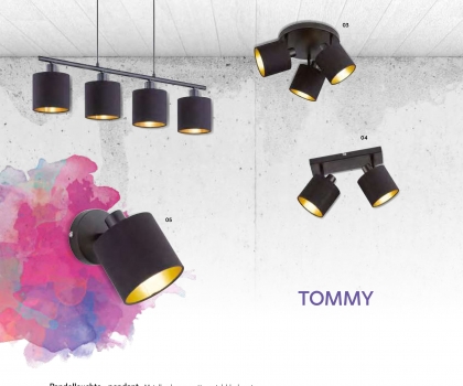 Купити Люстра Trio R30334079