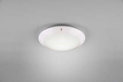 Купить Уличный светильник Trio R60501031