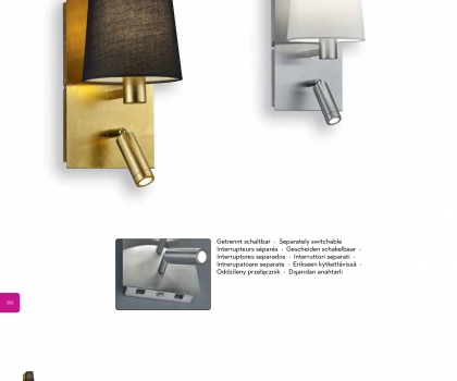 Купить Настенный светильник Trio 271470279