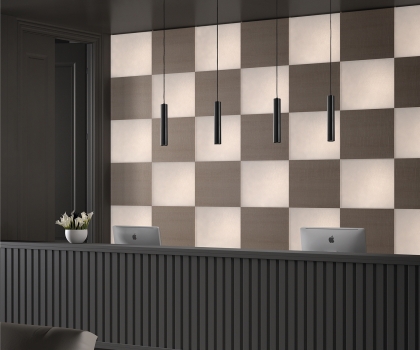 Купить Люстра Exo 906C-G21X1A-47