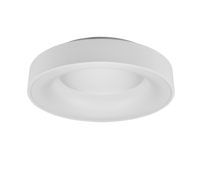 Купить Светильник потолочный Trio 671210131