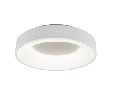 Купить Светильник потолочный Trio 671210131