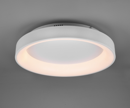 Купить Светильник потолочный Trio 671290131