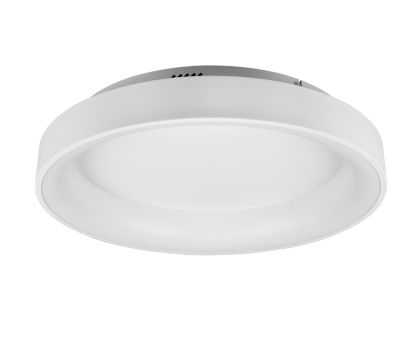 Купить Светильник потолочный Trio 671290131