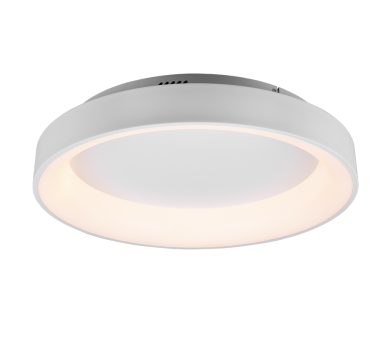 Купить Светильник потолочный Trio 671290131