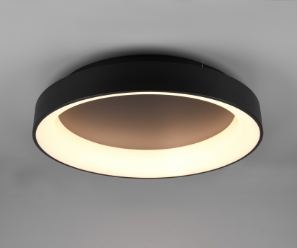 Купить Светильник потолочный Trio 671290132