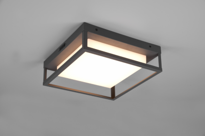 Купити Світильник стельовий Trio 677860142