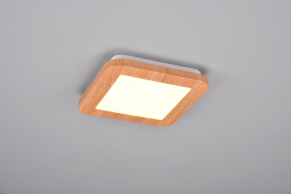 Купити Світильник стельовий Trio R62931035