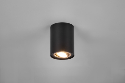 Купить Светильник потолочный Trio 612900180