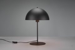 Купити Світлодіодна настільна лампа Trio 506290132