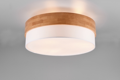 Купить Светильник потолочный Trio 611500301