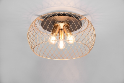 Купить Светильник потолочный Trio 611100308