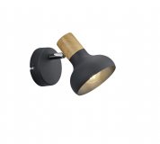 Купити Спот Trio R81521032