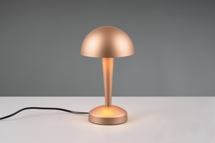 Купити Настільна лампа Trio R59561165