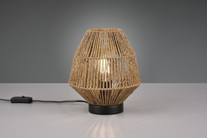 Купити Настільна лампа Trio R51101026