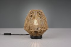 Купить Настольная лампа Trio R51101026