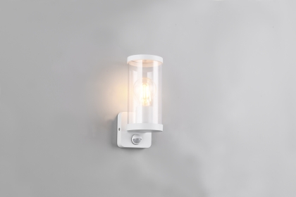 Купить Уличный светильник Trio R21599131