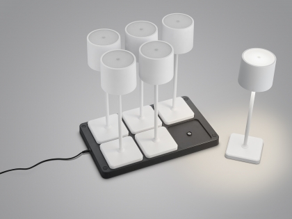 Купить Уличный светильник Trio R54096631