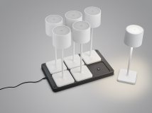 Купить Уличный светильник Trio R54096631