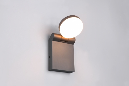 Купить Уличный светильник Trio 245560142