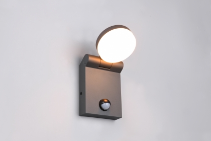 Купить Уличный светильник Trio 245569142