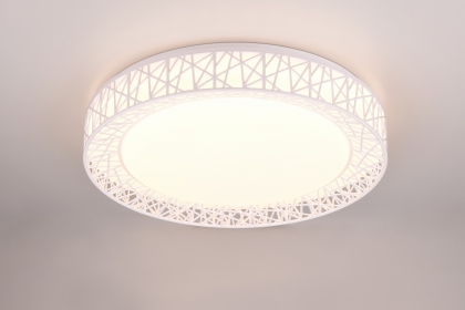 Купить Светильник потолочный Trio R67321101